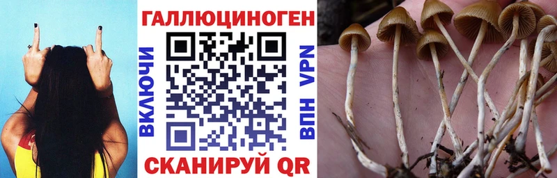 Галлюциногенные грибы ЛСД  Чехов 